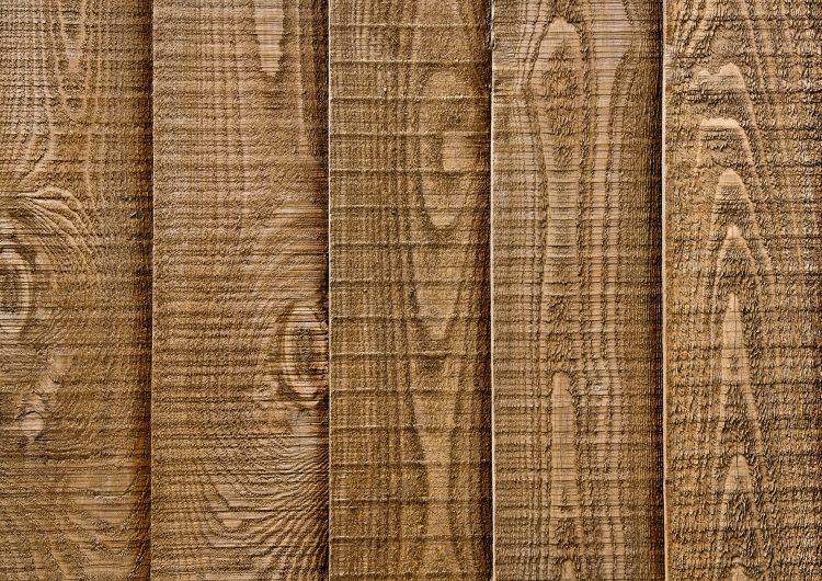 Close up section of a piece of wood